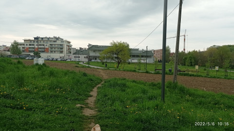 Szanujmy kwietne łąki