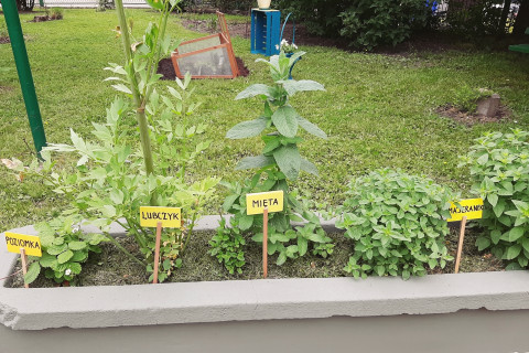 Przedszkola bliżej natury