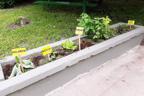 Przedszkola bliżej natury