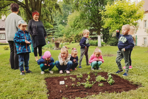 Przedszkola bliżej natury