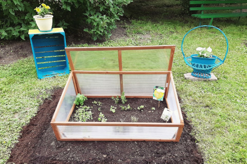 Przedszkola bliżej natury