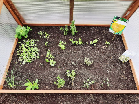 Przedszkola bliżej natury