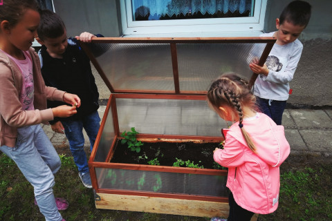 Przedszkola bliżej natury