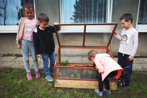 Przedszkola bliżej natury