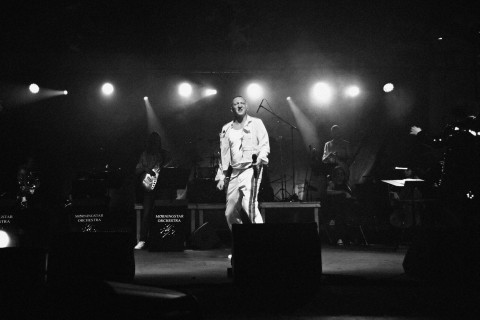 Przebojowy Brzesko Okocim Festiwal