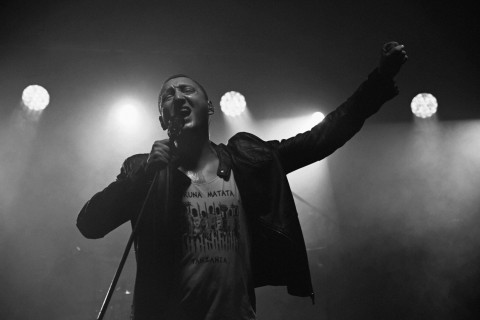 Przebojowy Brzesko Okocim Festiwal