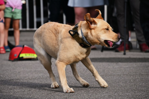 Po Małopolskich Dniach Bezpieczeństwa