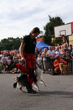 Po Małopolskich Dniach Bezpieczeństwa
