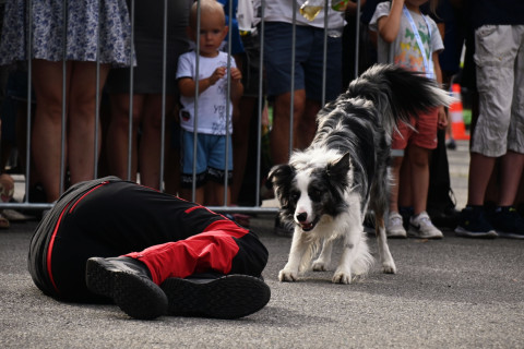 Po Małopolskich Dniach Bezpieczeństwa