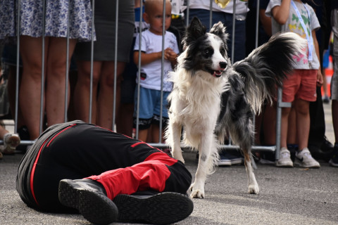 Po Małopolskich Dniach Bezpieczeństwa