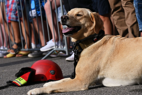 Po Małopolskich Dniach Bezpieczeństwa