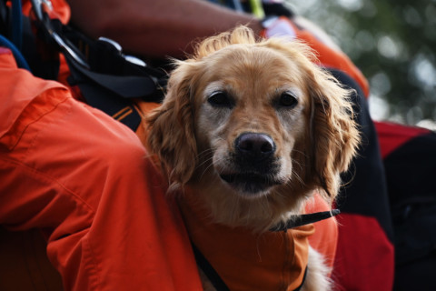 Po Małopolskich Dniach Bezpieczeństwa