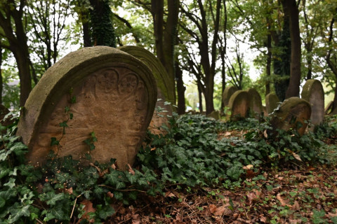 Marsz Pamięci w Brzesku