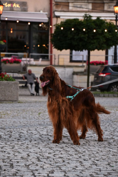 W Brzesku i okolicach powstały wyjątkowe InicJaTyWy