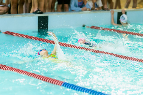 XIX Zawody Pływackie z okazji Święta Niepodległości