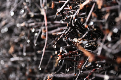 Oficjalny odbiór tężni