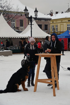 III Brzeski Jarmark Bożonarodzeniowy