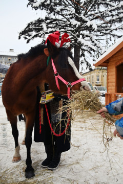 III Brzeski Jarmark Bożonarodzeniowy