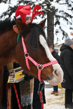 III Brzeski Jarmark Bożonarodzeniowy