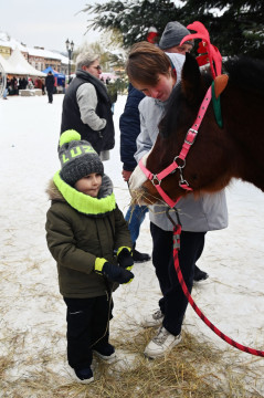 III Brzeski Jarmark Bożonarodzeniowy