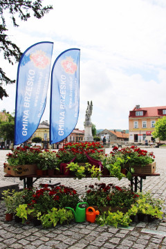 InicJaTyWy na brzeskim Rynku