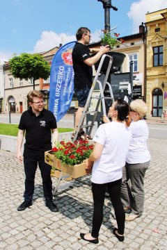 InicJaTyWy na brzeskim Rynku