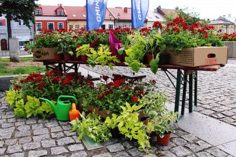 InicJaTyWy na brzeskim Rynku