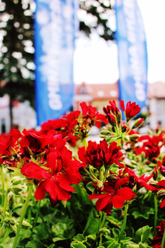 InicJaTyWy na brzeskim Rynku