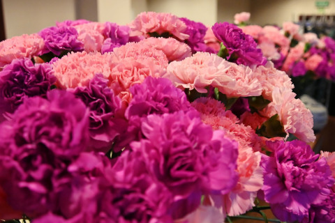 Dzień Kobiet w RCK-B