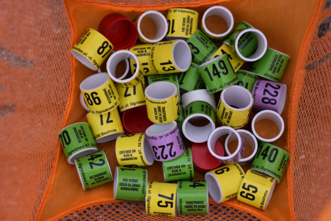 Bieg Tropem Wilczym – Jadowniki 2023