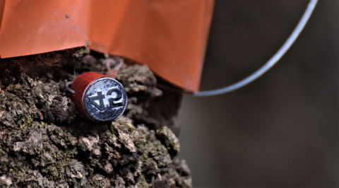 II Brzeski Rajd Terenowy