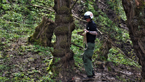 II Brzeski Rajd Terenowy