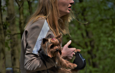 II Brzeski Rajd Terenowy