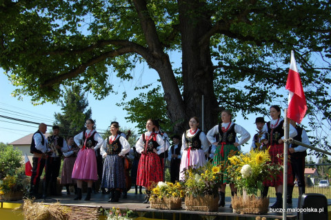 Dożynkowy Piknik w Buczu