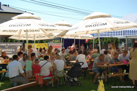 Dożynkowy Piknik w Buczu