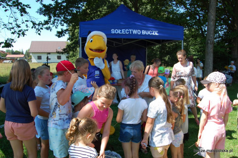 Dożynkowy Piknik w Buczu