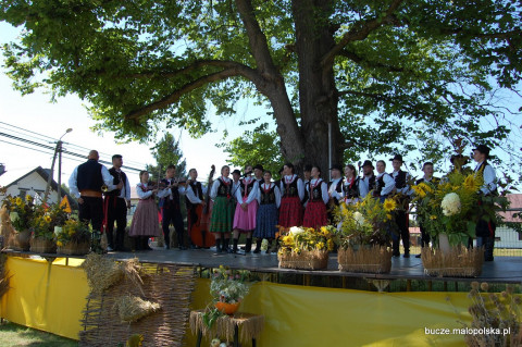 Dożynkowy Piknik w Buczu