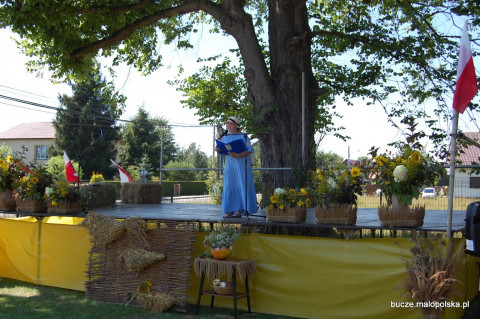 Dożynkowy Piknik w Buczu