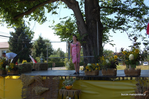 Dożynkowy Piknik w Buczu