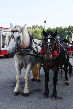 Piknik w Parafii z Sercem