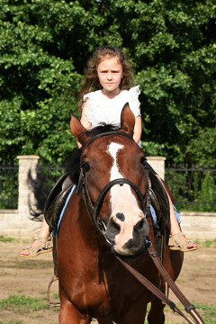 Piknik w Parafii z Sercem