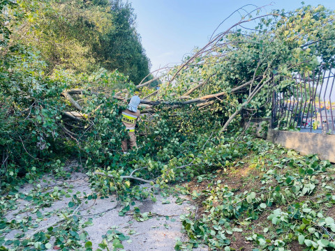 Pracowity weekend strażaków