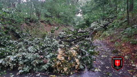 Pracowity weekend strażaków