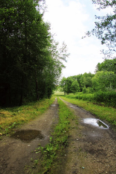 Stroma zostanie okiełznana