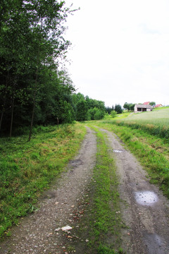 Stroma zostanie okiełznana