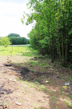 Stroma zostanie okiełznana