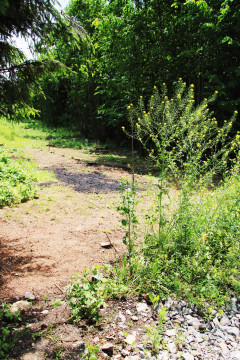 Stroma zostanie okiełznana