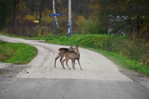 Czerwona Droga po modernizacji