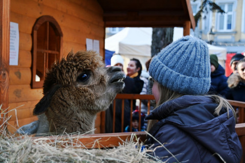 IV Brzeski Jarmark Bożonarodzeniowy