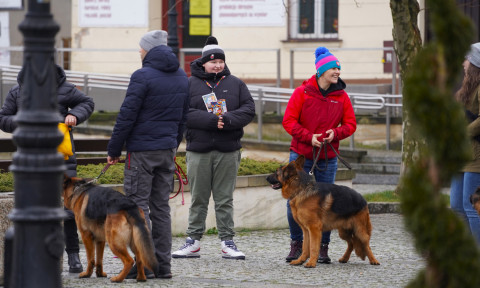 Brzeski Finał WOŚP – absolutny rekord!!!